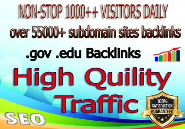 Country Targeted 6 Months 20,000+ or unlimited Real Human Traffic From search engine & Blog