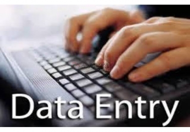 I can do data entry, copy typing, data mining etc