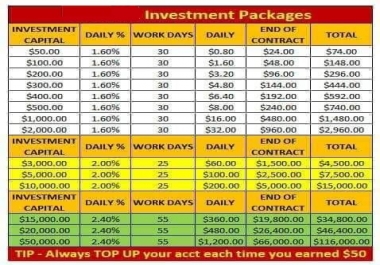 Teach 2 Daily Return on Investment Account