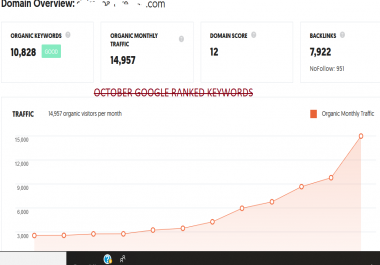 Google Rank 200 Keywords for 1500 DAILY Organic Human Visitors