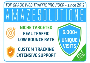 Bring Real Visitors,  Targeted You Web Traffic,  6000 Worldwide visitors