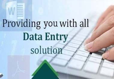 Any type of Data Entry work in timely