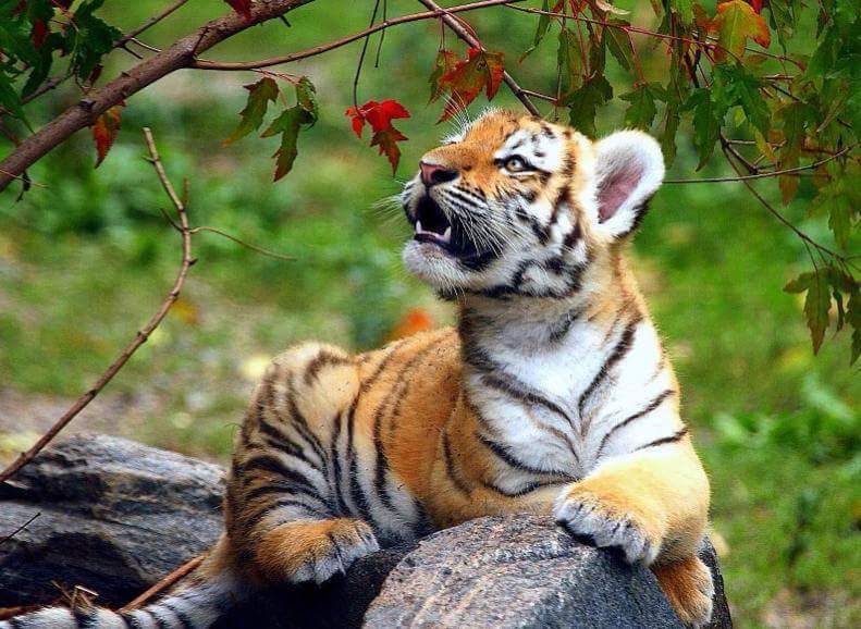 Need low quality backlinks for multiple websites. Blackhat techniques ...